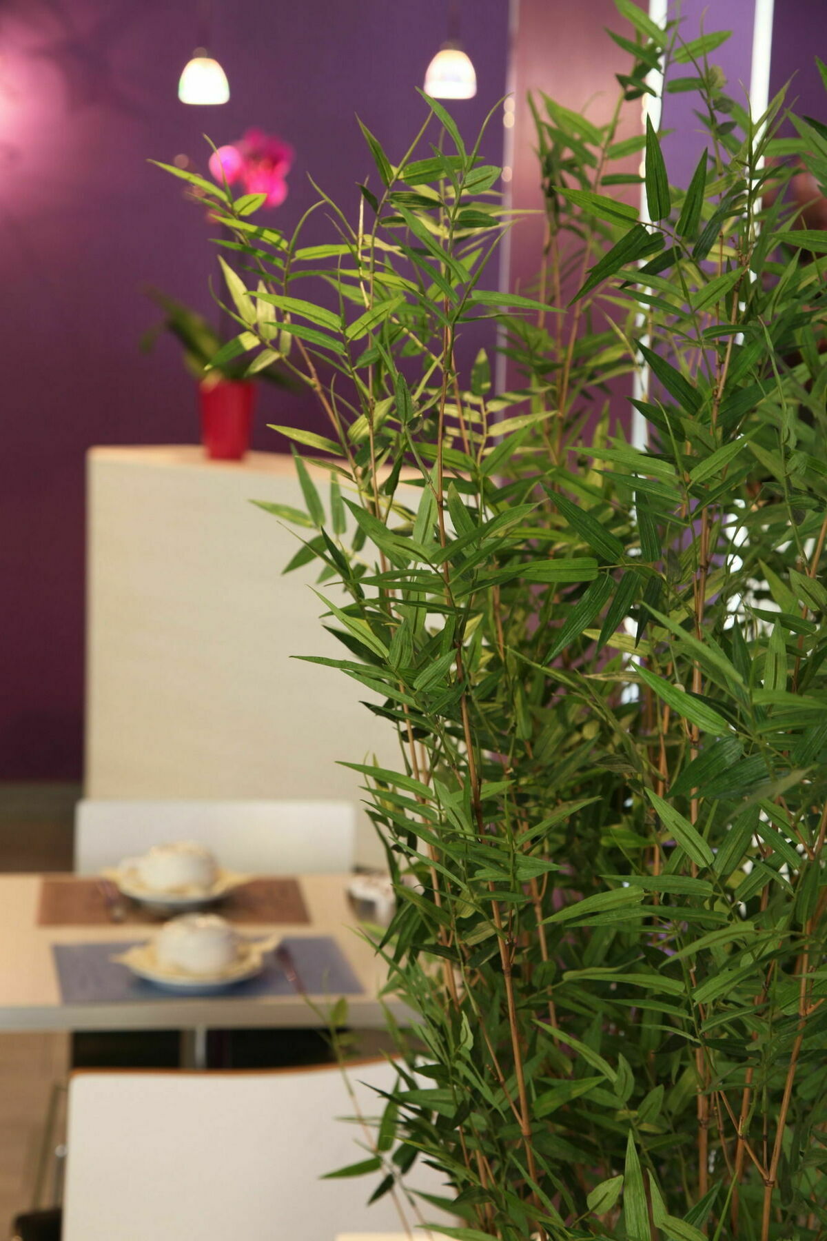 Icône Hôtel - Annecy Ngoại thất bức ảnh