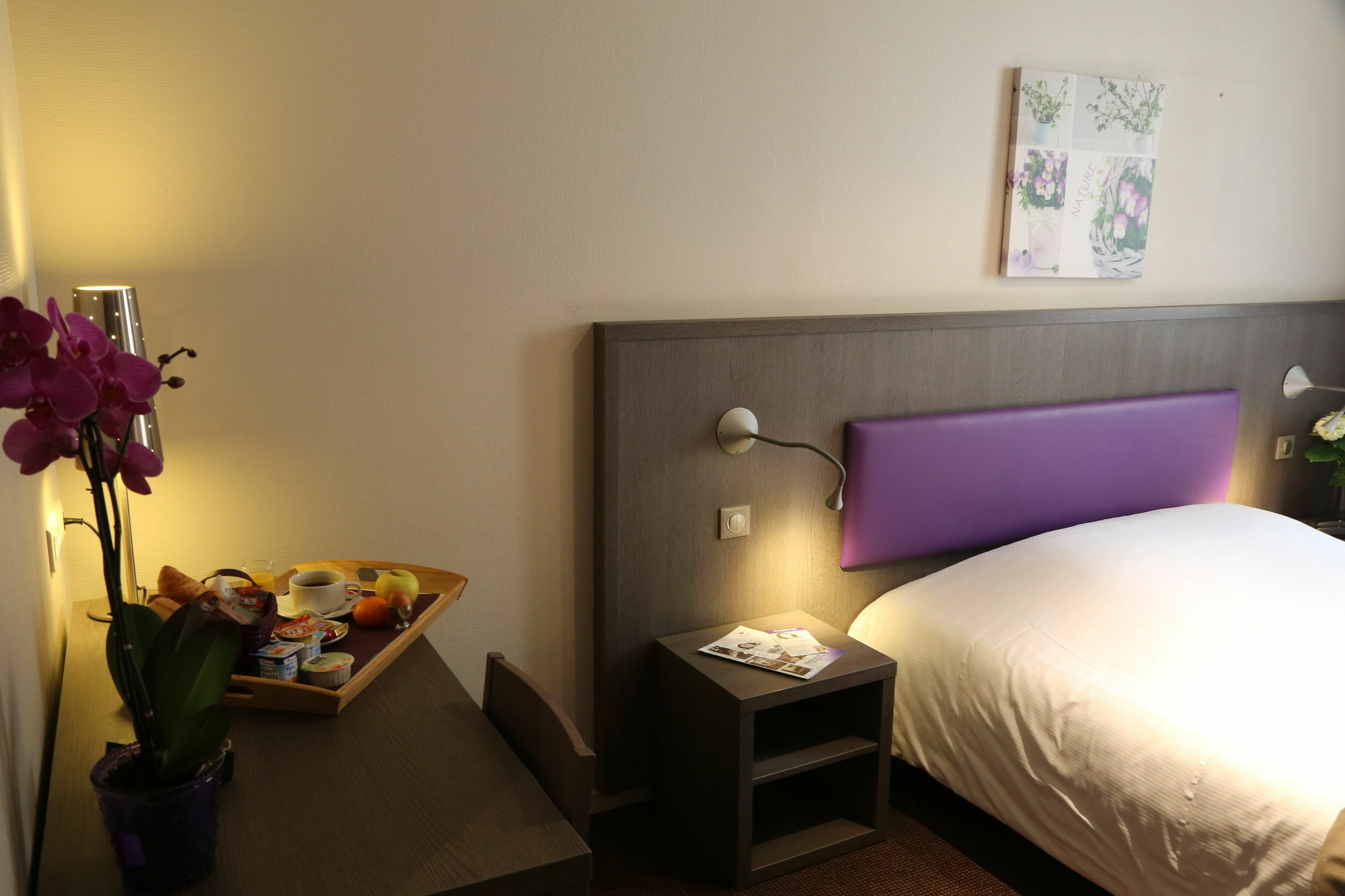 Icône Hôtel - Annecy Ngoại thất bức ảnh